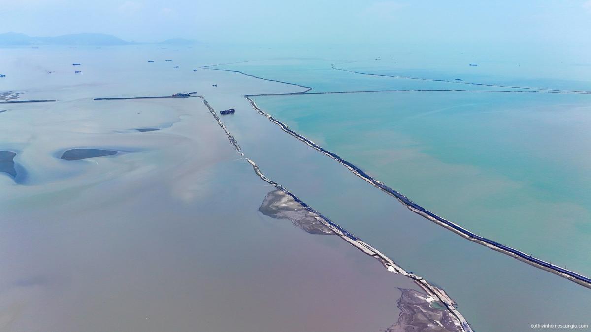 Cận cảnh 