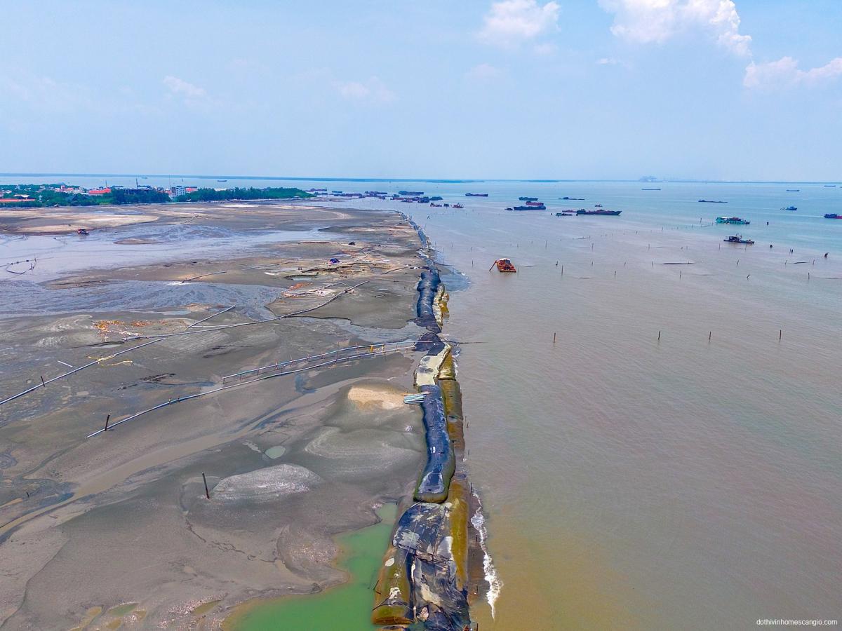 Cận cảnh 